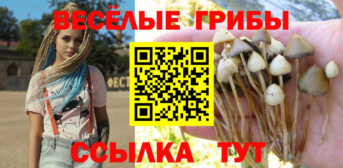 Галлюциногенные грибы Cubensis Норильск