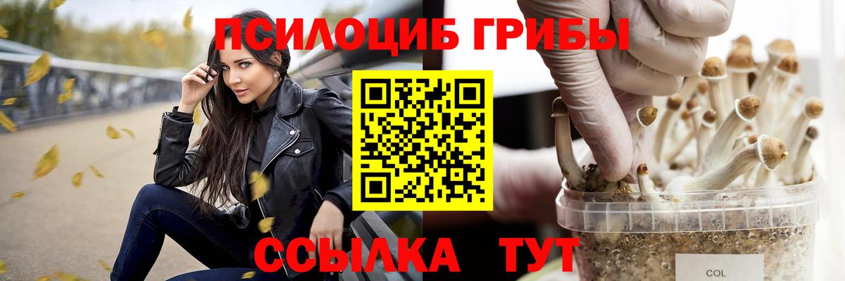 Псилоцибиновые грибы Magic Shrooms  Галлюциногенные грибы мицелий  Норильск  Вход с VPN 